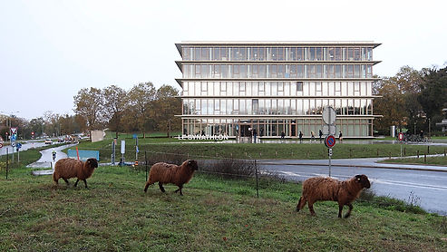 another : international sports sciences institute - university of lausanne
